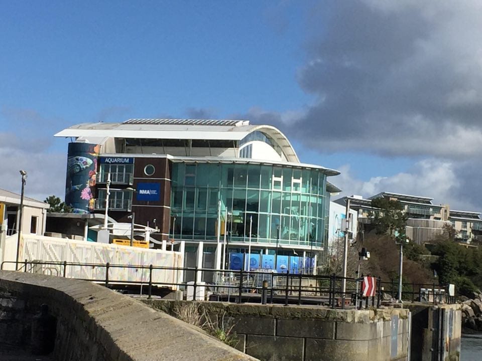 Plymouth Aquarium, things to do in plymouth with kids, plymouth barbican, plymouth uk