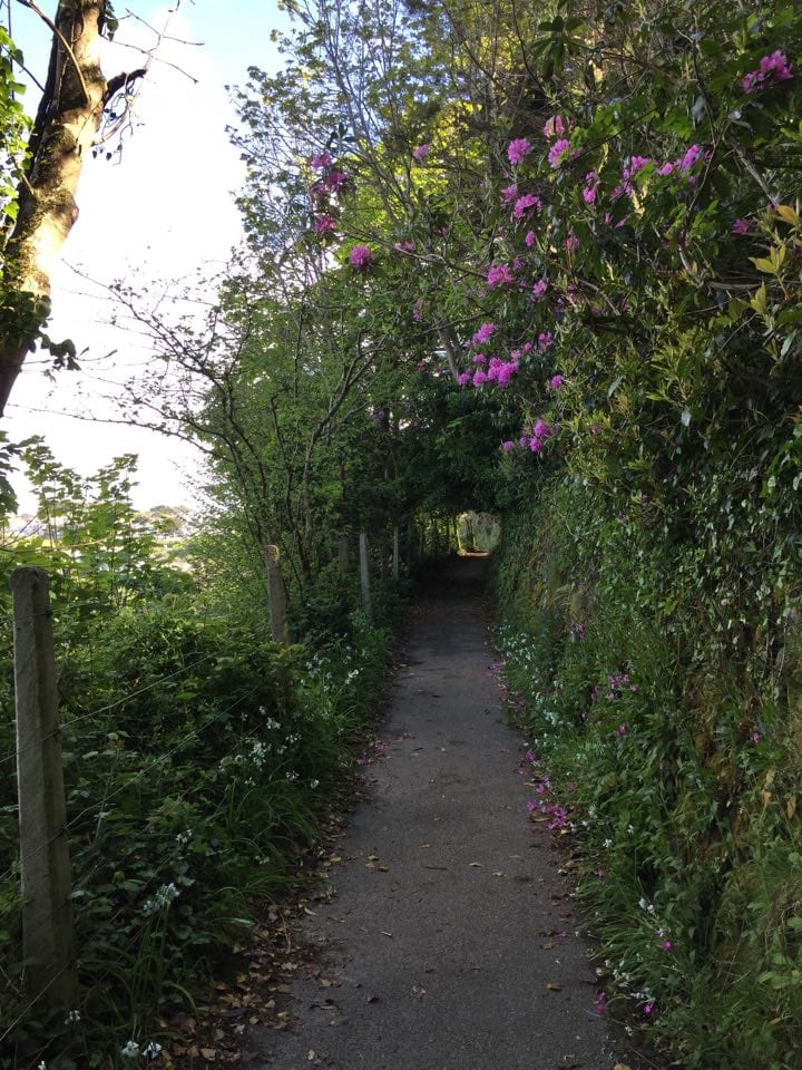 Cornwall coast path