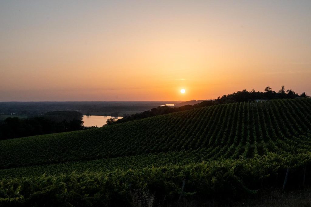 bordeaux, beautiful cities in france, beautiful bordeaux, bordeaux vineyards, bordeaux sunset